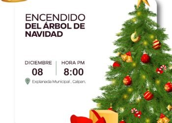 Gobierno de Calpan invita al encendido del árbol de Navidad