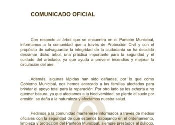 Realizan desrame de árbol en Panteón Municipal en Calpan
