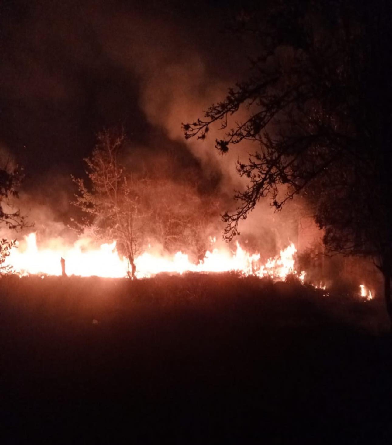 Incendio en Tlacomulco es controlado por la intervención de Protección Civil