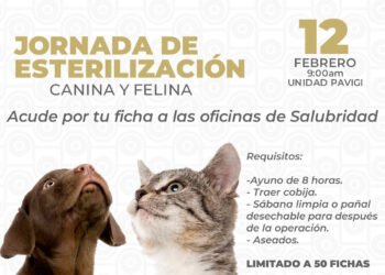 Gobierno de Xoxtla realizará jornada de esterilización canina y felina