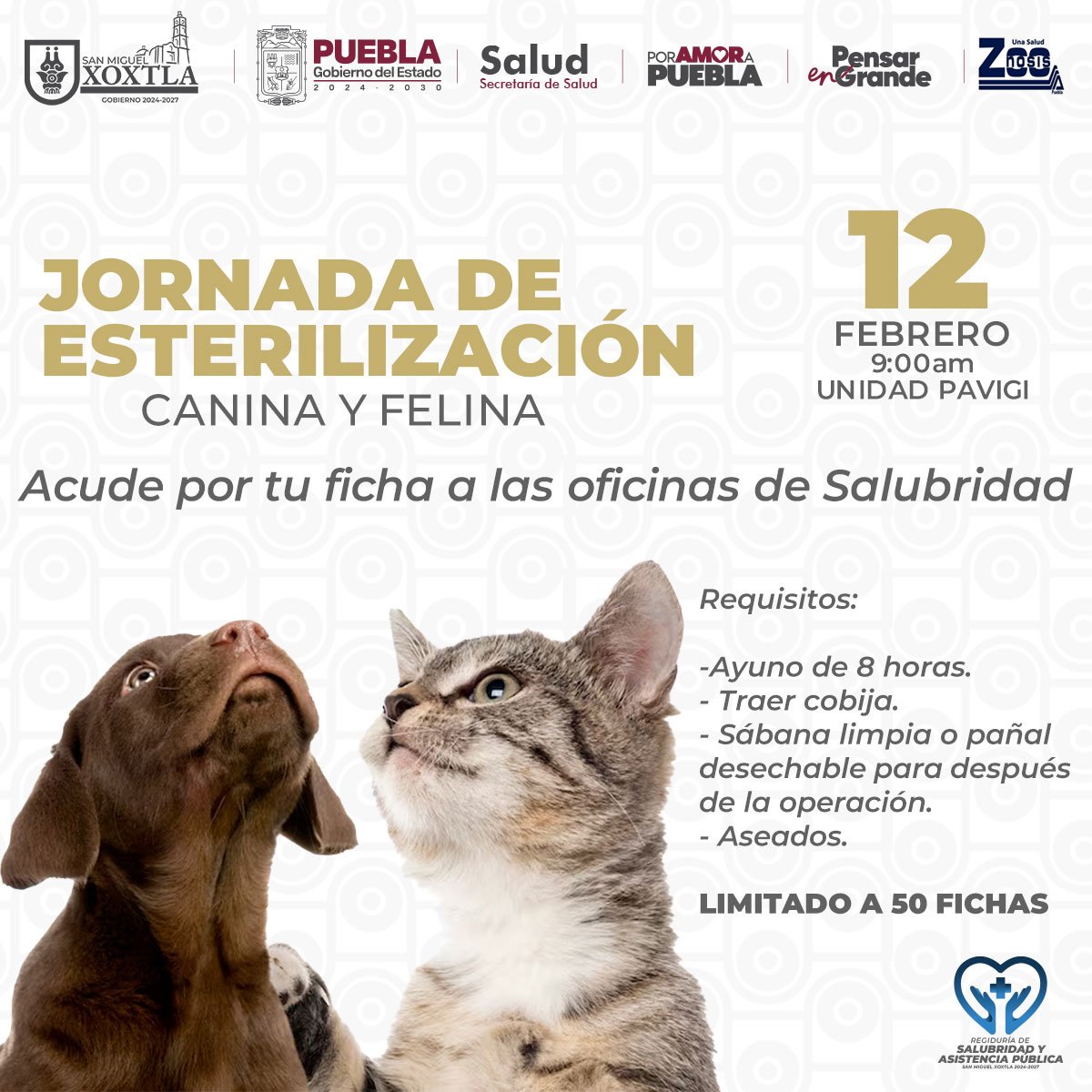 Gobierno de Xoxtla realizará jornada de esterilización canina y felina