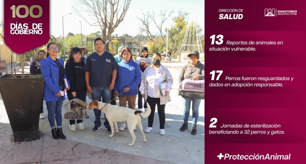 Chiautzingo refuerza acciones en favor del bienestar animal
