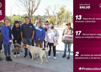 Chiautzingo refuerza acciones en favor del bienestar animal