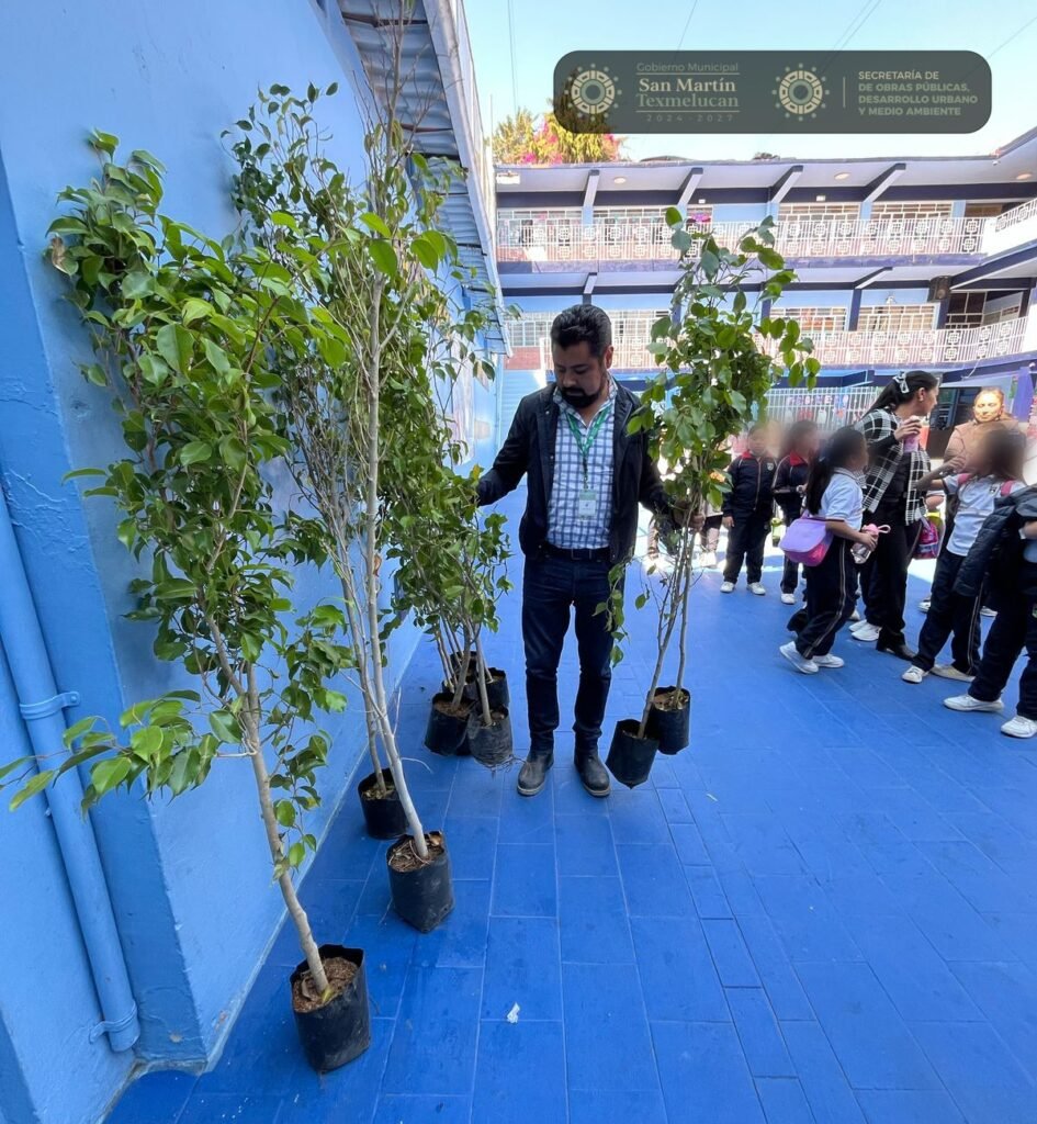 Juan Manuel Alonso dona más de 25 árboles Ficus al Colegio Progreso en Texmelucan