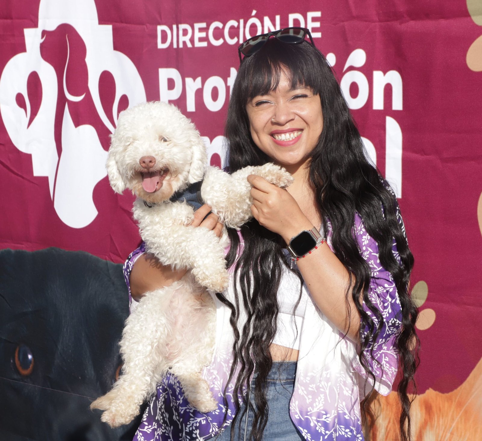 Caninata 2025 en Puebla: evento que promueve la tenencia responsable y el bienestar animal