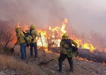Protección Civil Estatal trabajando en la mitigación del incendio forestal en Tehuacán