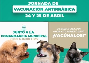 Domingo Arenas invita a jornada gratuita de vacunación para mascotas
