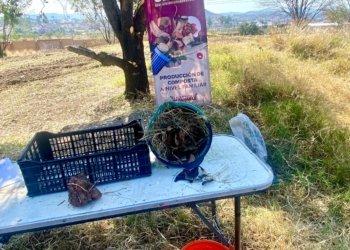 Gobierno de Puebla promueve la educación ambiental en jóvenes de Los Héroes Puebla