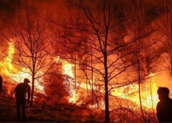 Conafor reporta 37 incendios forestales activos en México: más de 9,800 hectáreas afectadas