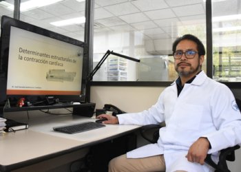 En el Instituto de Fisiología reside uno de los pocos grupos del país que estudia la relación estructura-función en las células cardiacas