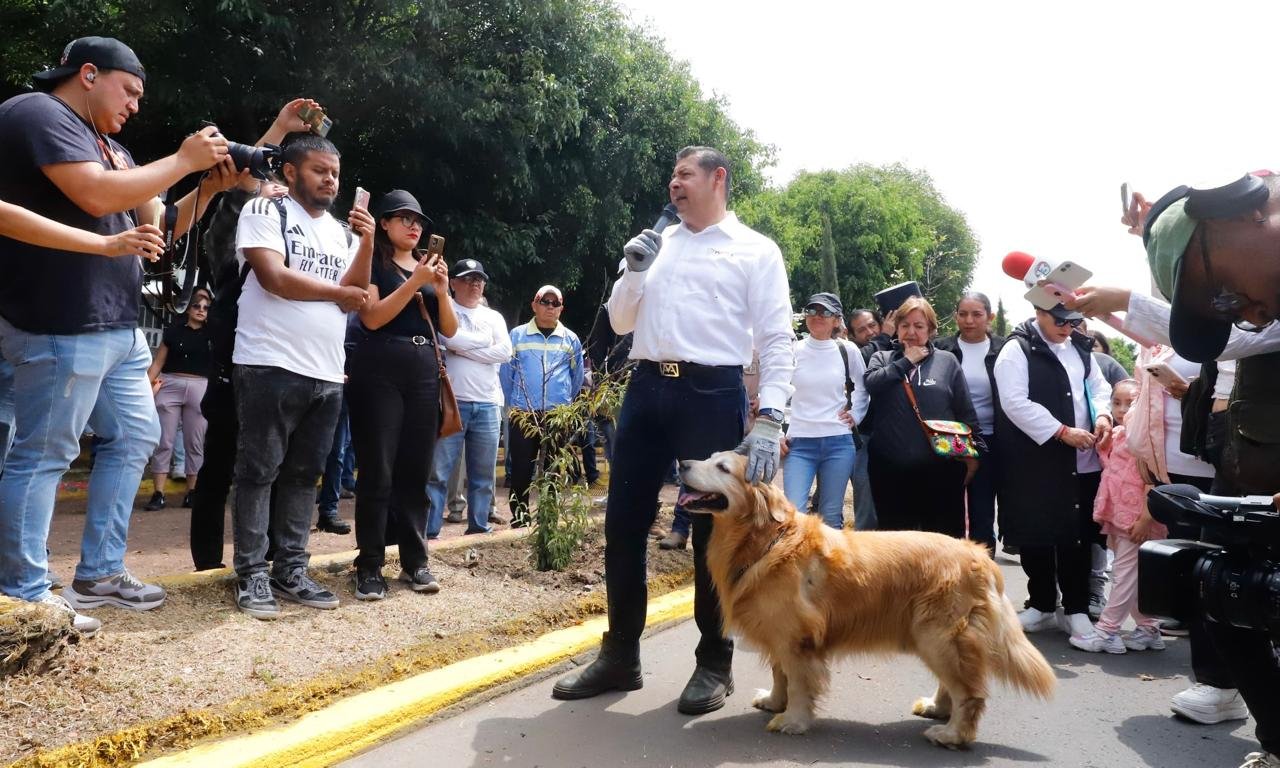 Puebla contará con 27 Casas de Seres Sintientes para proteger y cuidar a los animales