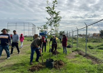 Impulsan reforestación en Cuautlancingo para fortalecer el entorno urbano