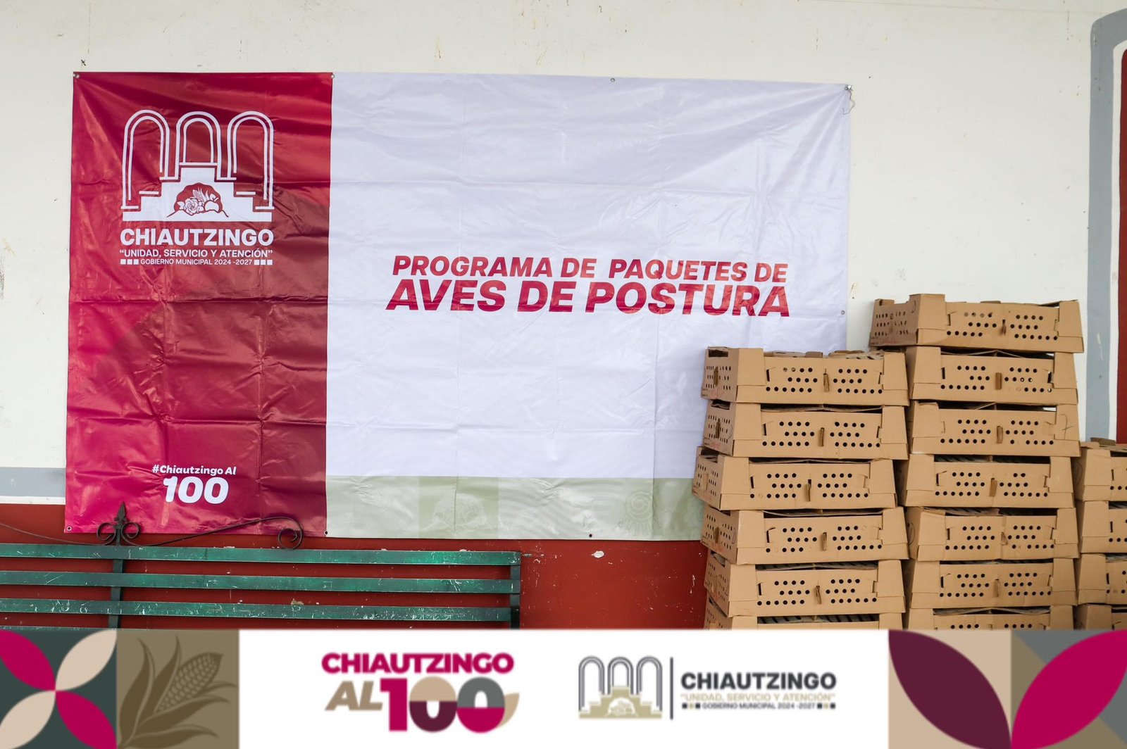 Chiautzingo impulsa economía familiar con entrega de aves de traspatio