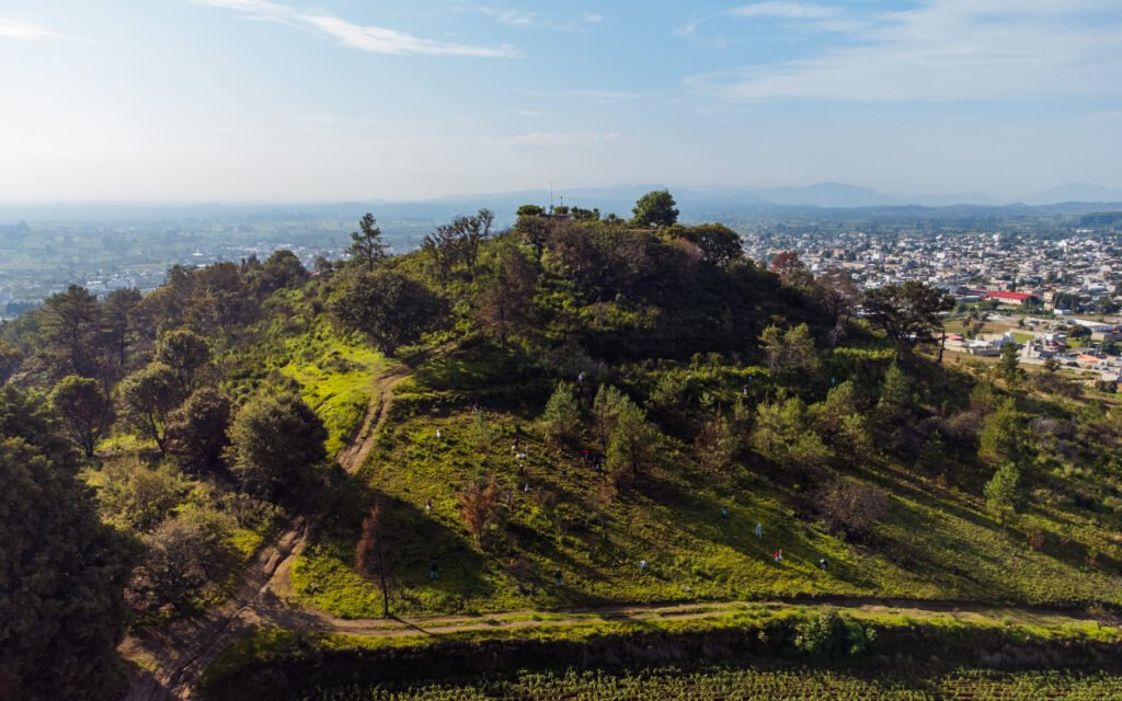 Nealtican realiza nueva jornada de reforestación