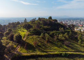 Nealtican realiza nueva jornada de reforestación