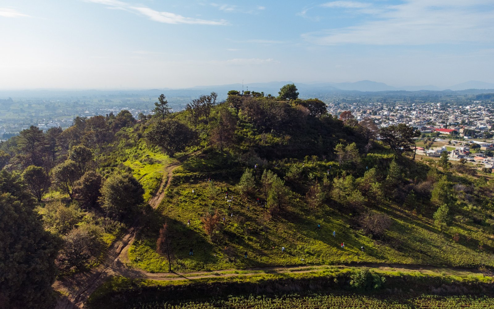 Nealtican realiza nueva jornada de reforestación