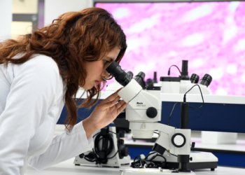 CU2: referente en innovación científica y formación de alta especialidad