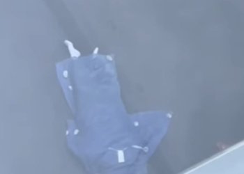 Fallece masculino en la Torre Platea