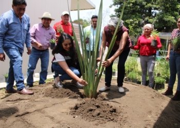 Reafirma Gobierno de Tonantzin Fernández su compromiso con la imagen urbana del municipio
