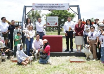 Seguridad para el bienestar animal