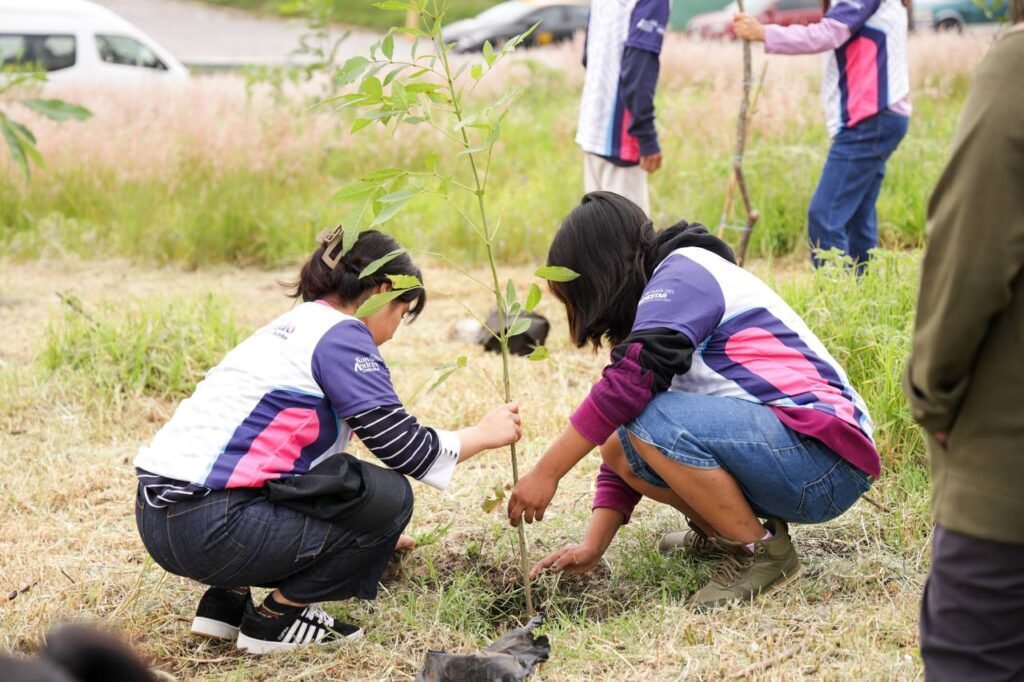 Continúa reforestación en San Andrés Cholula con más de 1,800 árboles sembrados