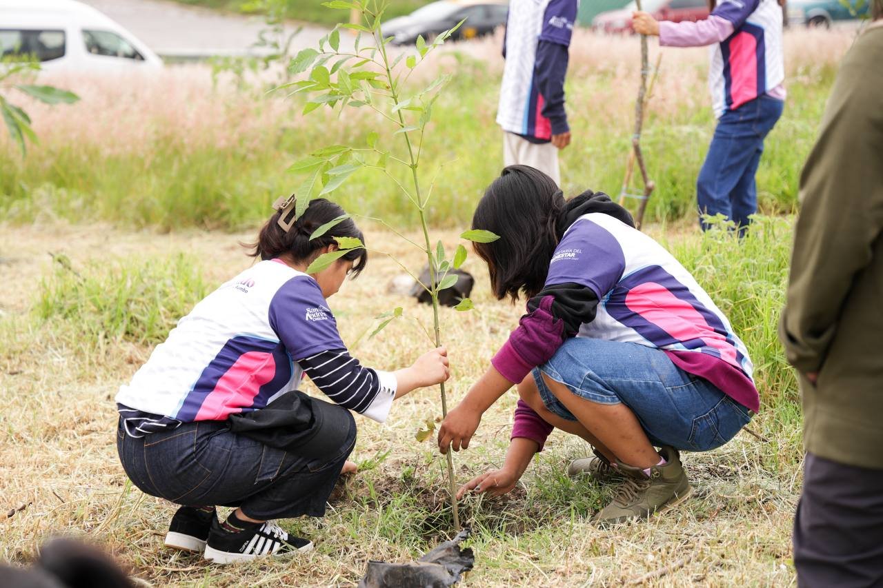 Continúa reforestación en San Andrés Cholula con más de 1,800 árboles sembrados
