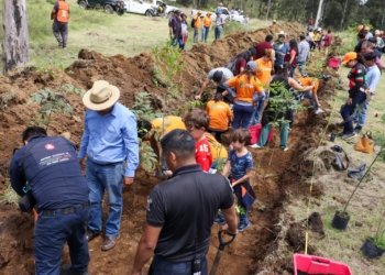 Tonantzin Fernández impulsa acciones ambientales con la jornada “Raíces de Agua” en el Cerro Zapotecas